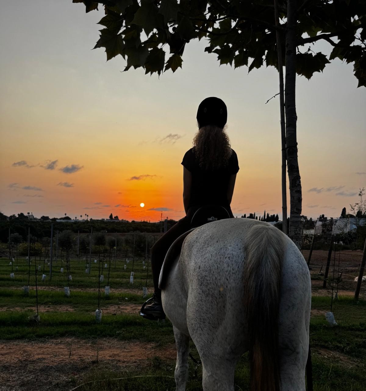 A teen rider on a white horse silhouetted against a sunset, framed by tree branches