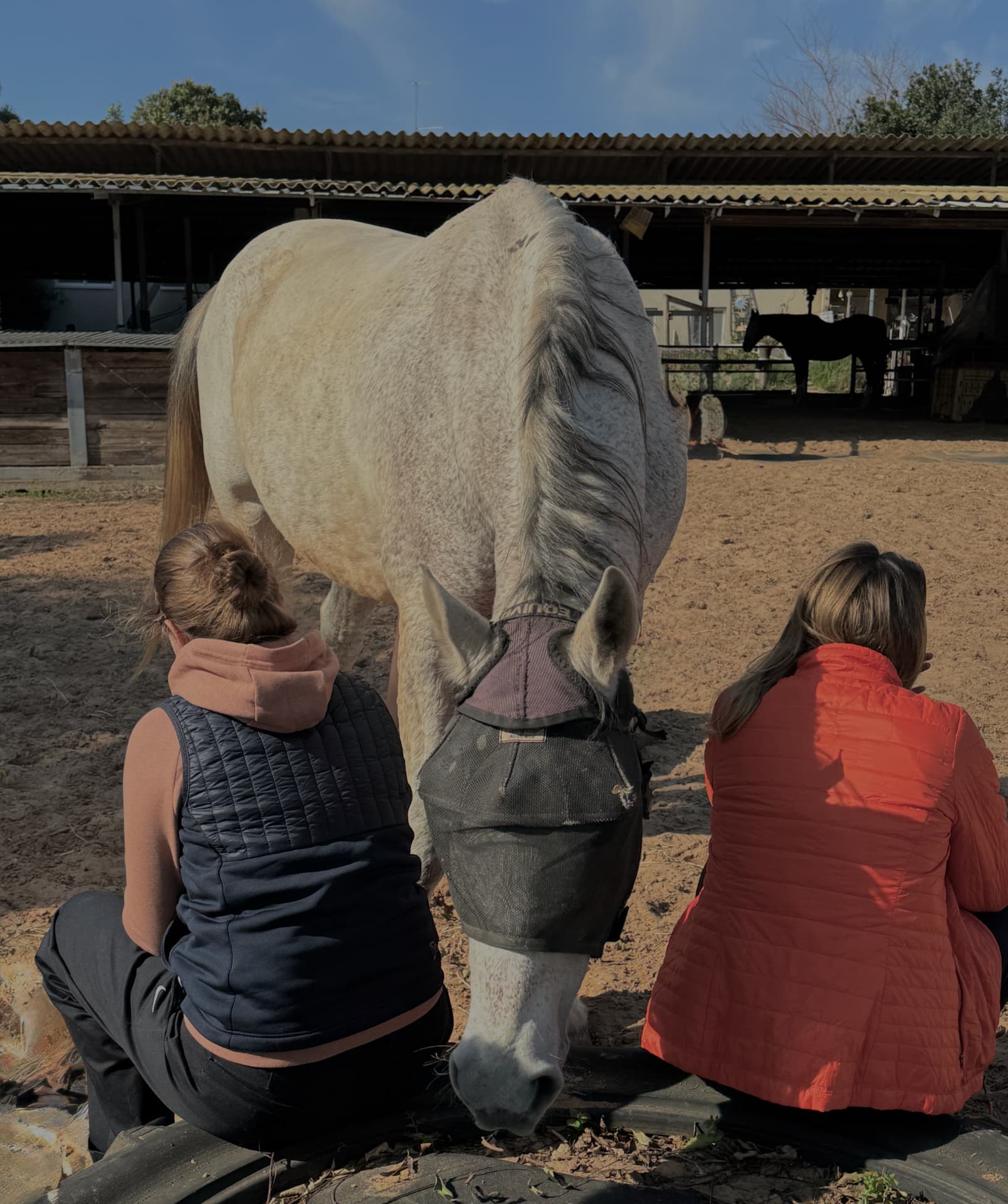 Two women sitting quietly on either side of a white horse in the farm yard