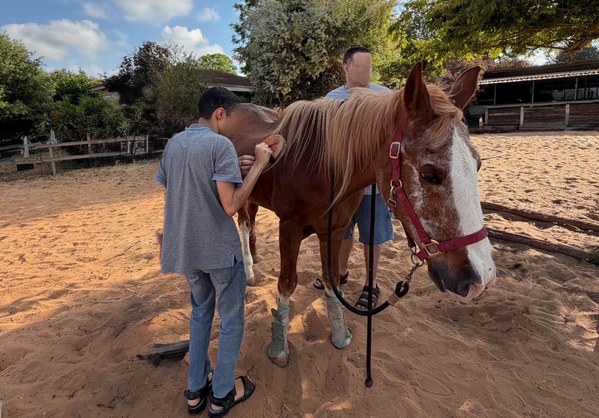 A participant grooming one of the horses while another holds the lead rope