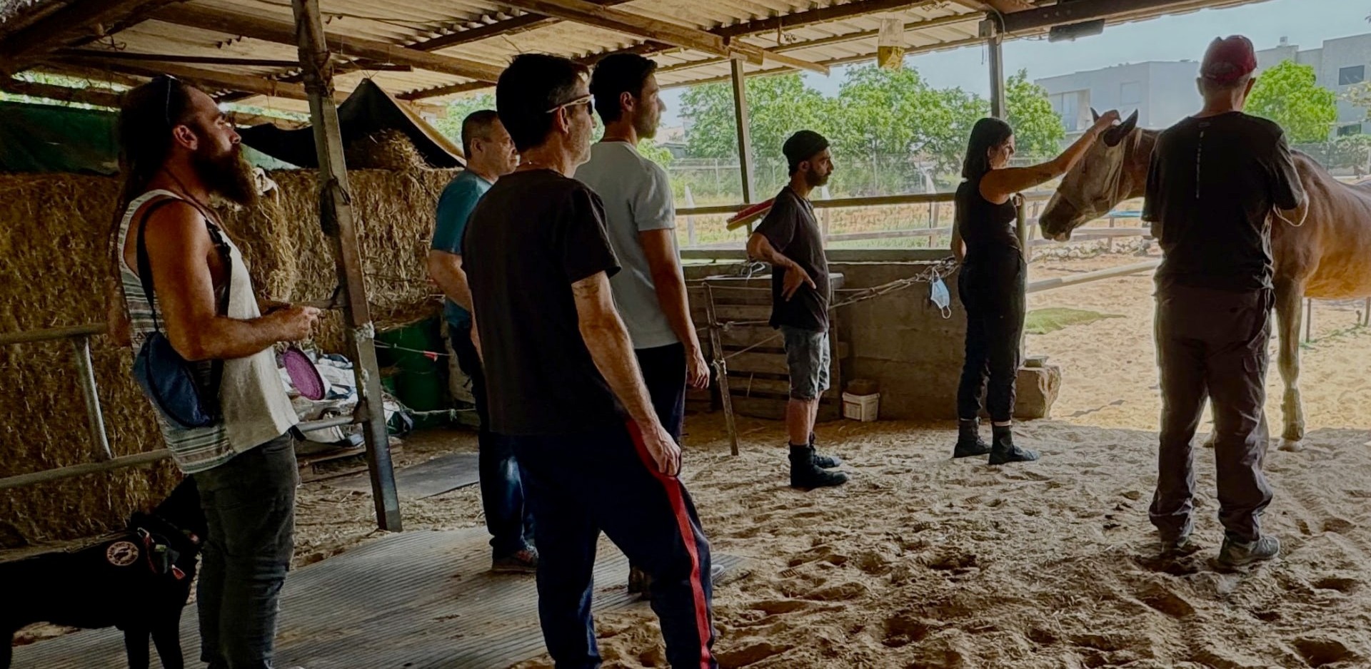 A group standing together in the stable as one participant gently strokes a horse