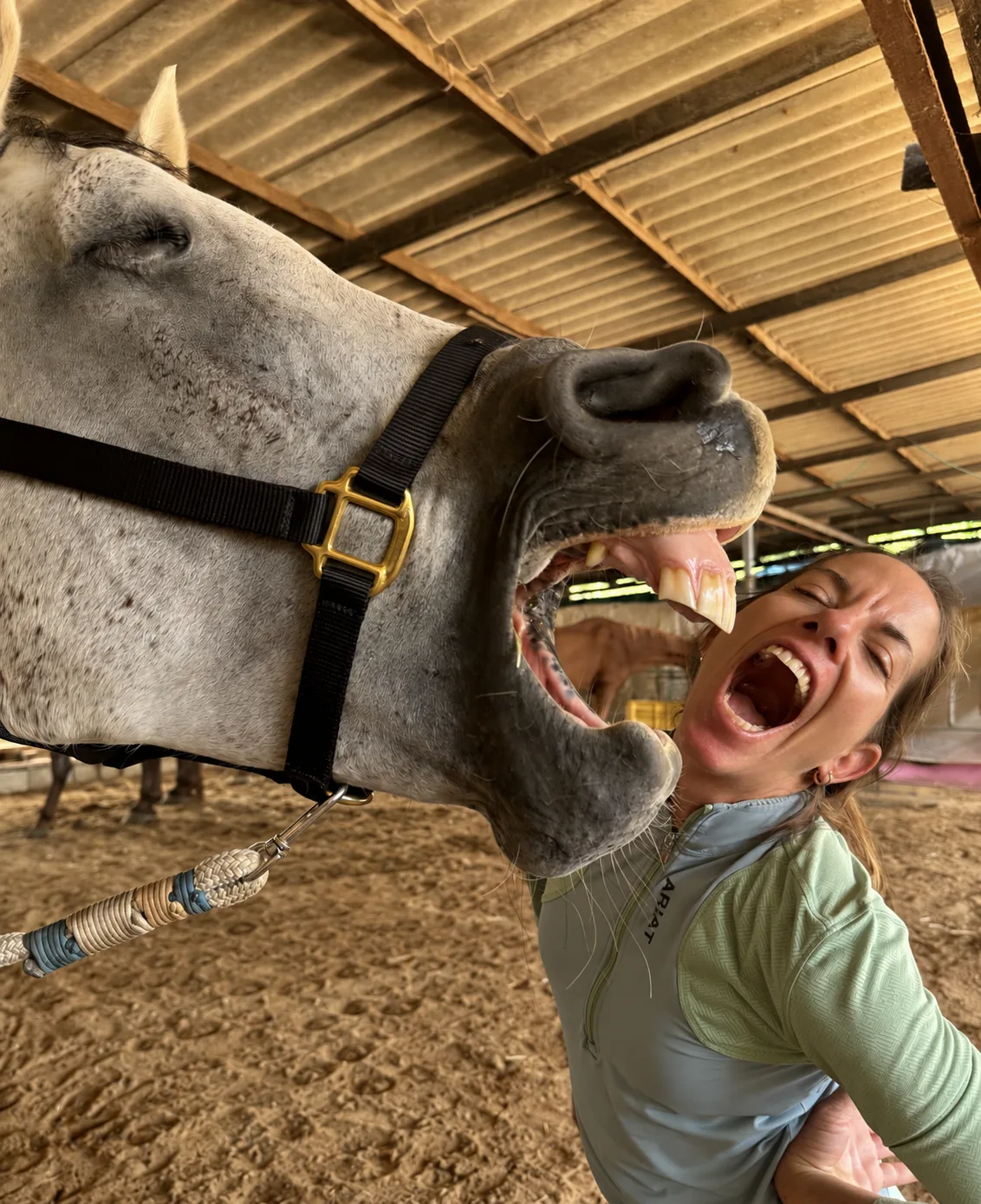 A horse yawning beside a woman
