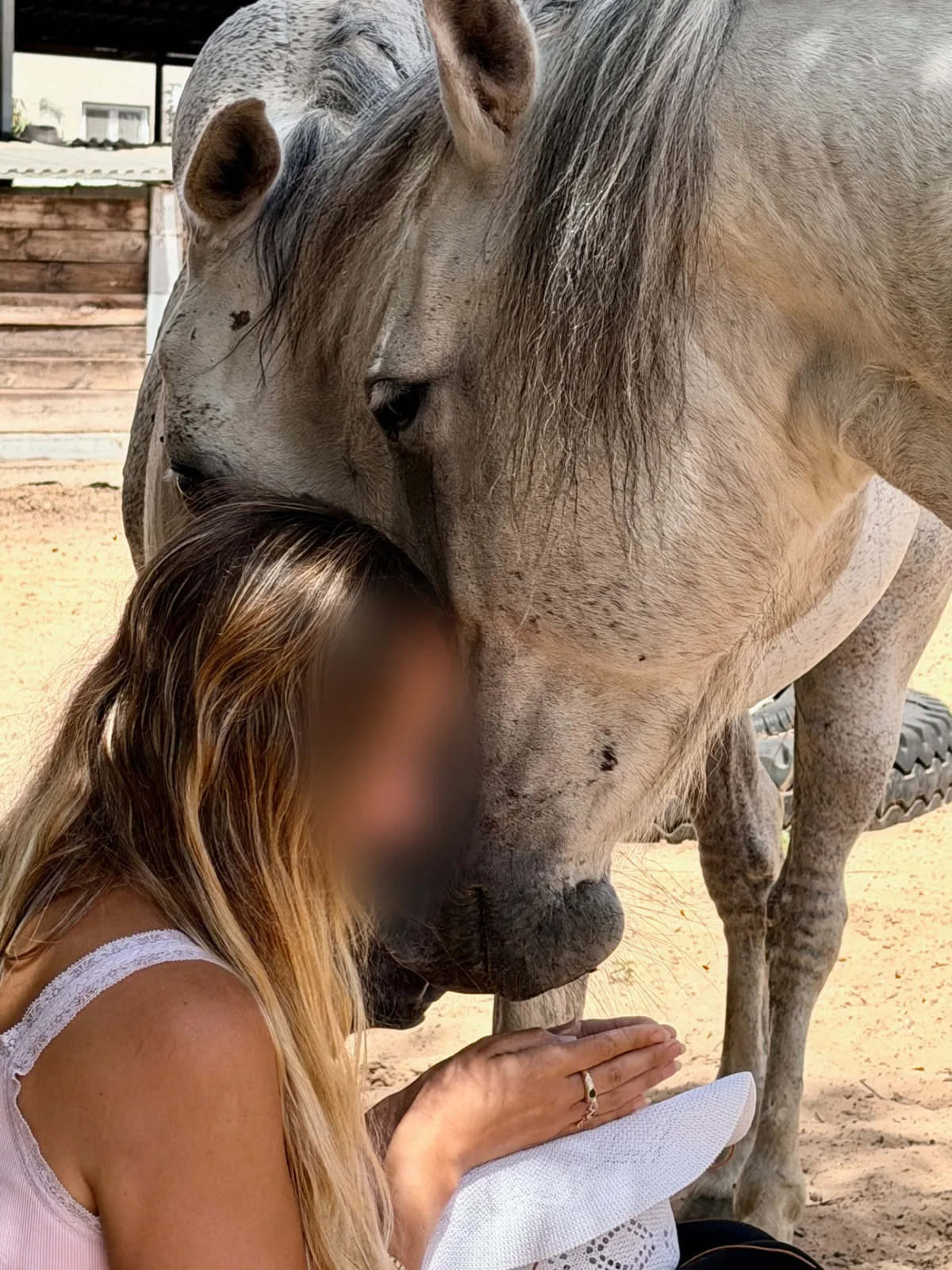A seated woman beside a grey horse