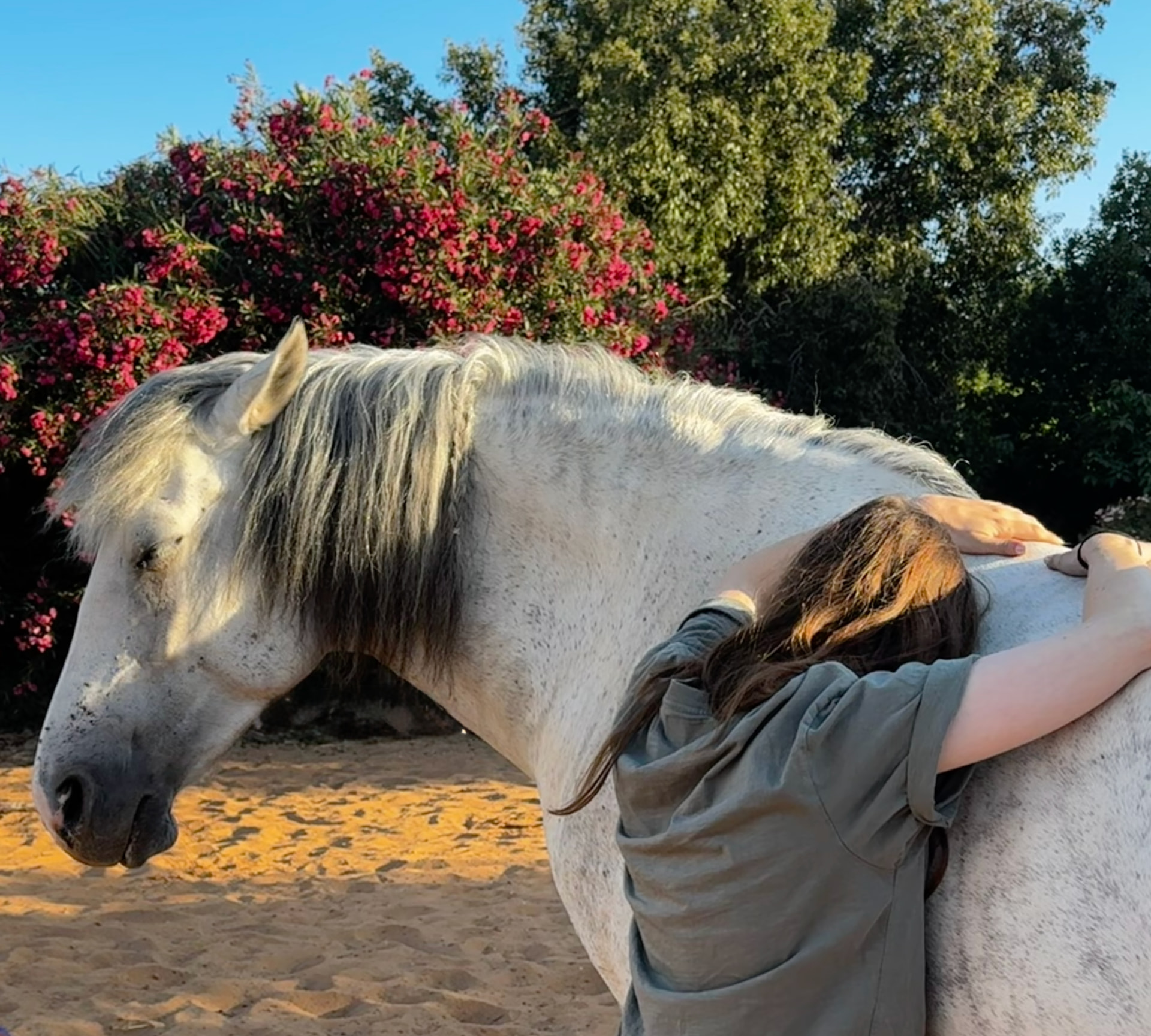 A participant resting her head on and embracing the white horse, with flowering bushes behind