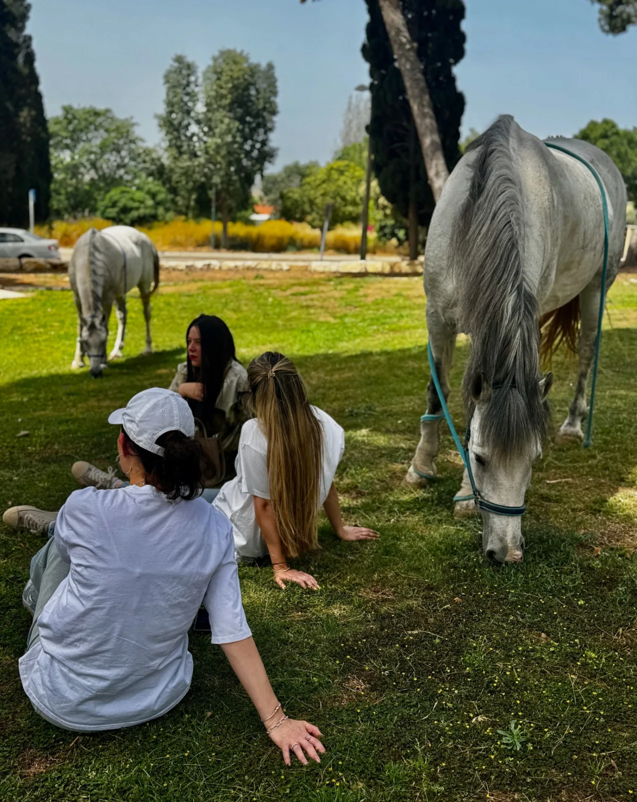Women seated on grass beside grazing horses