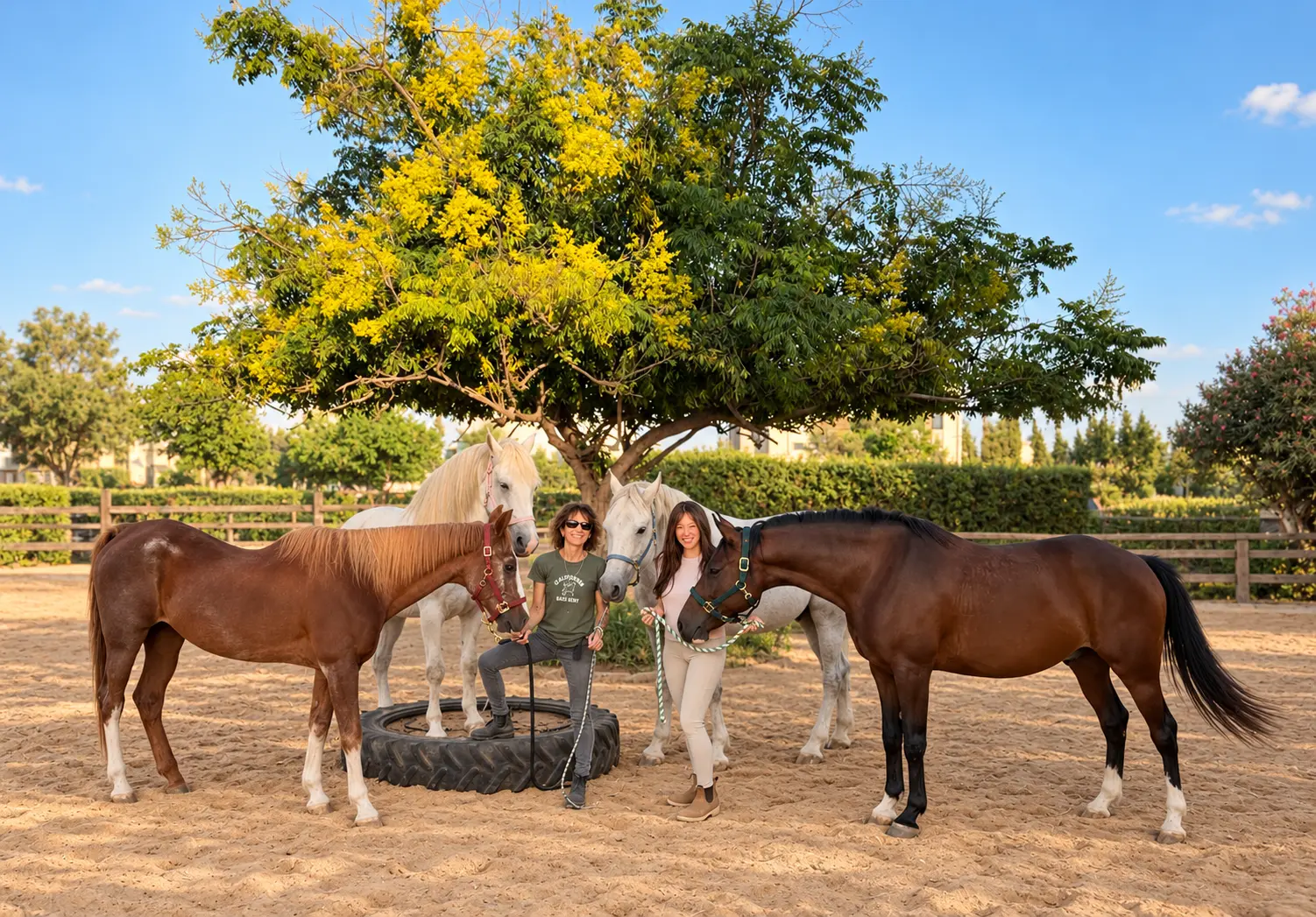 The EquiSoul team with four horses beneath a tree